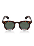 Elite Collection | Fashion Sunglasses for Every Season and Occasion EC348BR