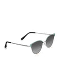 Elite Collection | Trendy Everyday Sunglasses for Fashion Lovers EC375BL