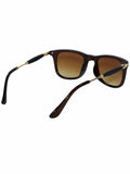 Elite Collection Brown Browline One Size Plastic Adult-Unisex UV Sunglasses-EC304BR