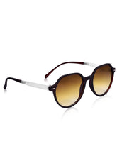 Celebrity Brown Square Plastic Sunglasses For Men CLSN25-936 DC-2